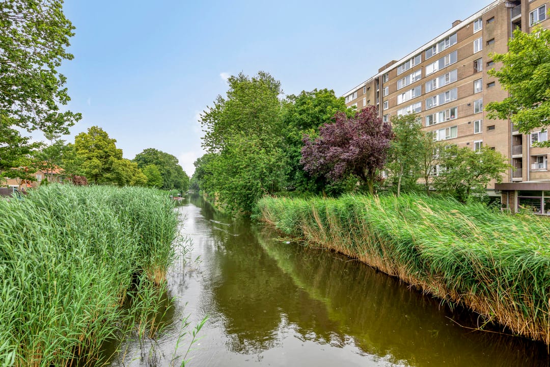 Foto 37 van Jan van Goyenstraat 136