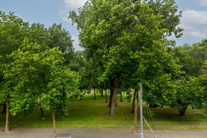 Foto 12 van Crooswijksestraat 104