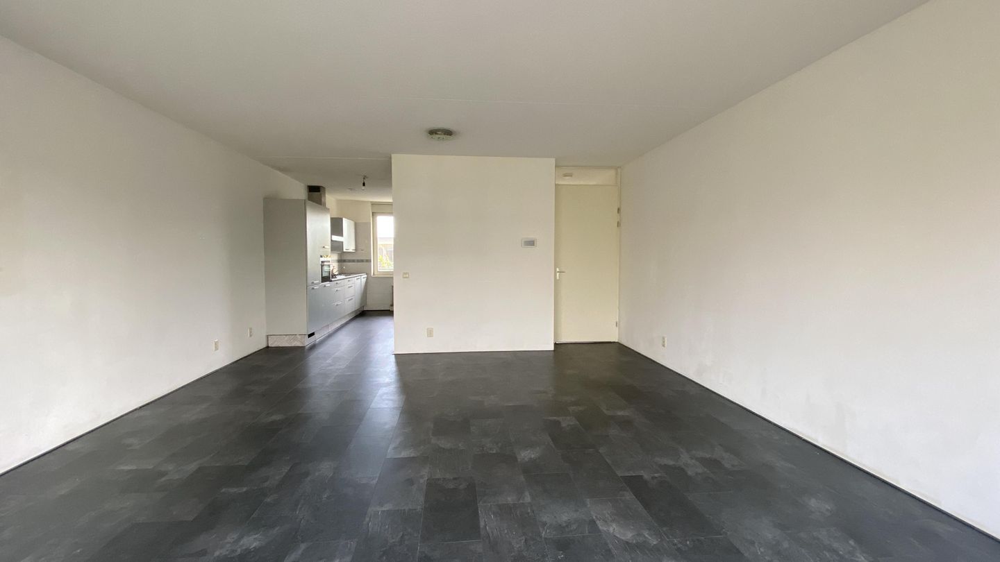 Foto 4 van Aelbrechtskade 186