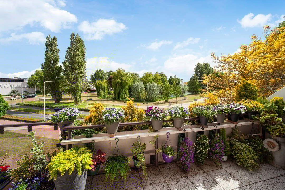 Foto 2 van Heemraad 38