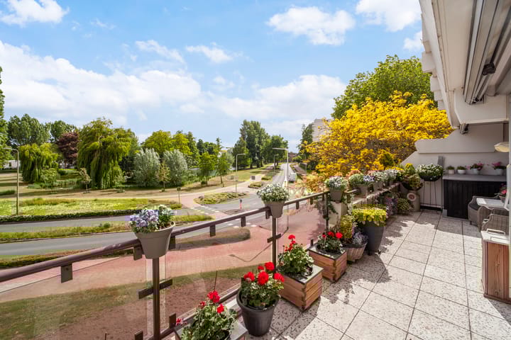 Foto 4 van Heemraad 38