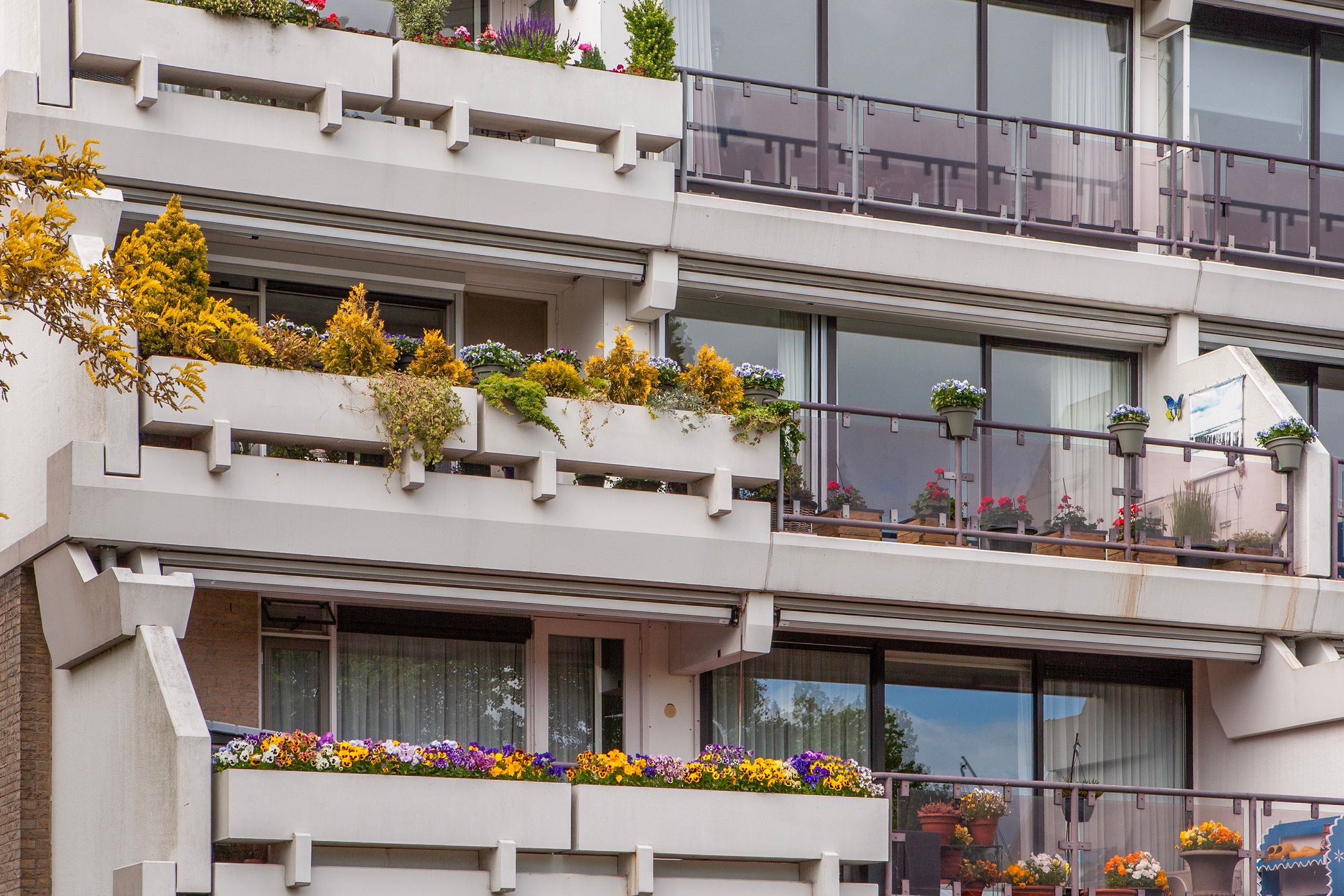 Foto 36 van Heemraad 38