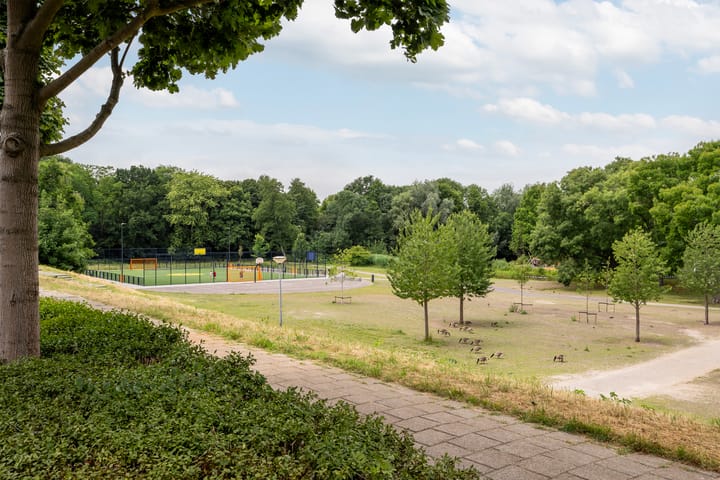 Foto 48 van Vlaardingerdijk 227