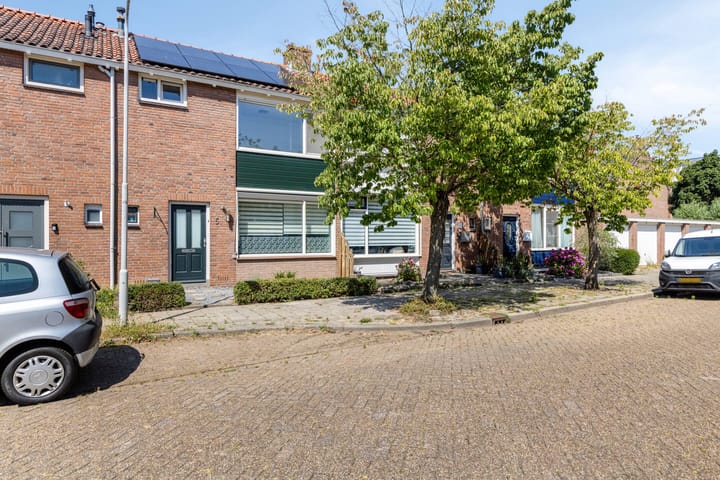 undefined main image