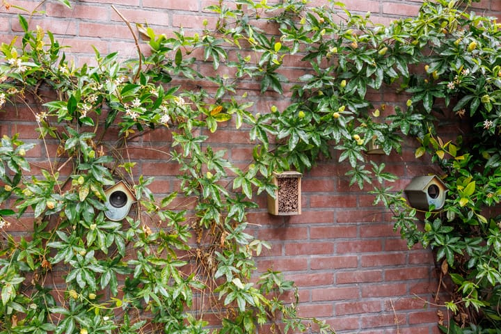 Photo 46 of Dr Brevéestraat 67