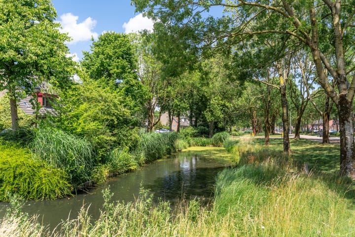 Foto 34 van Walnootgaarde 5