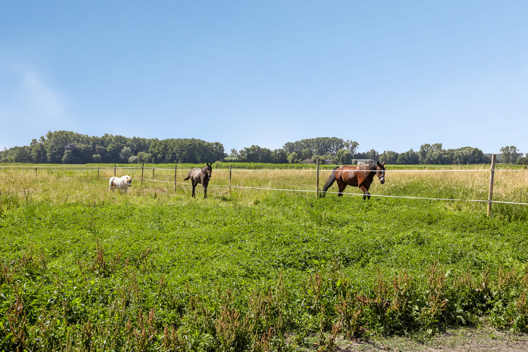 Photo 32 of Het Zand 12