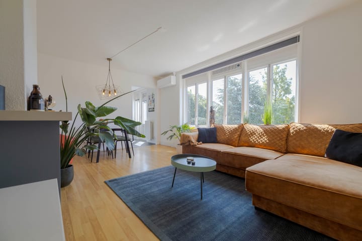 Foto 2 van Johan de Wittlaan 216-3