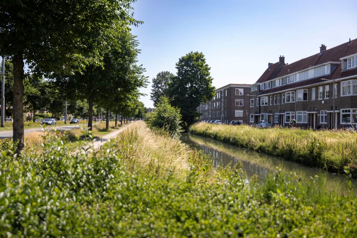 Foto 36 van Johan de Wittlaan 216-3