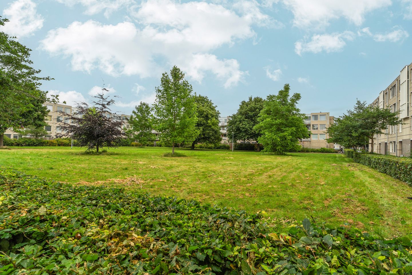 Foto 40 van J.T.P. Bijhouwerhof 61