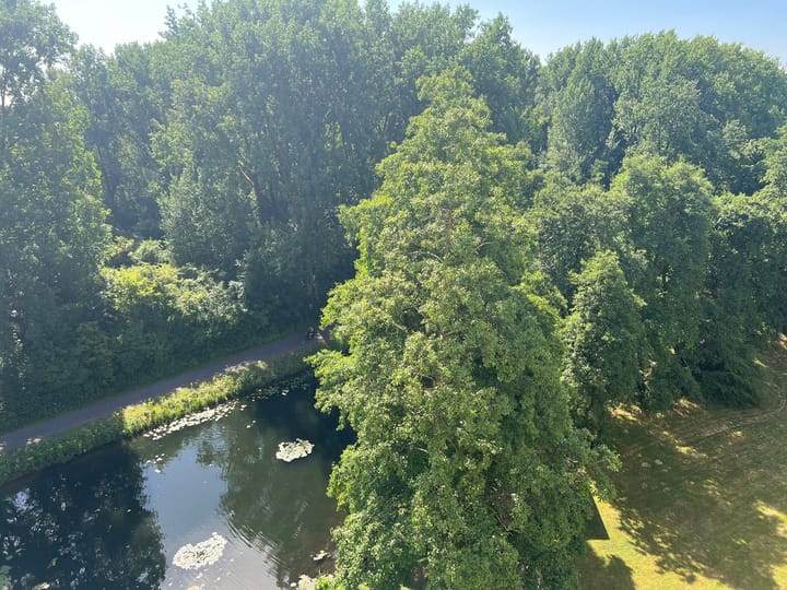 Foto 17 van Groningensingel 625