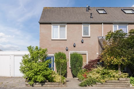 undefined main image