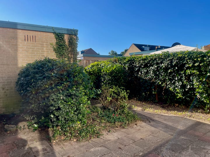 Foto 8 van Catharina van Renneslaan 29