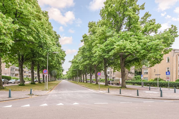 Foto 39 van Laan van Clingendael 156