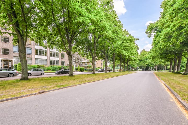 Foto 40 van Laan van Clingendael 156