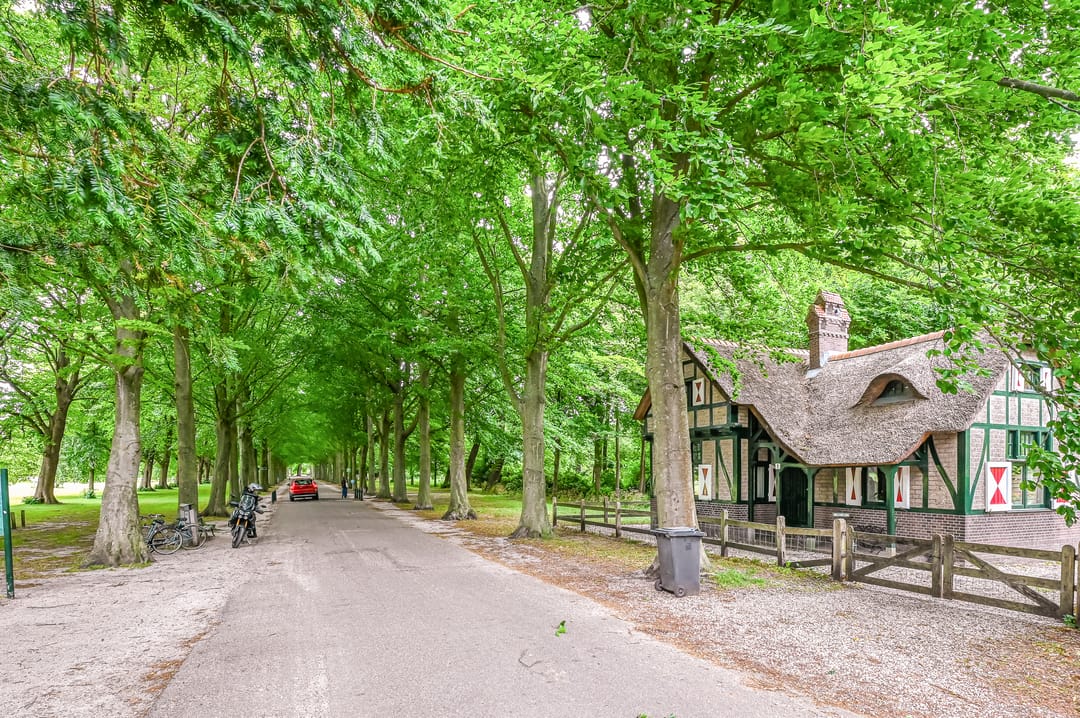 Foto 41 van Laan van Clingendael 156