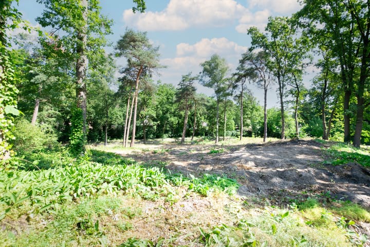 Photo 4 of Zandstraat