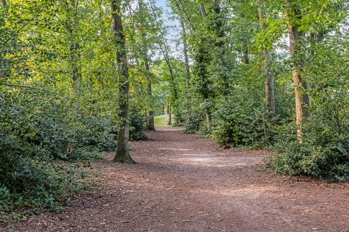 Foto 31 van Zevensprong 26