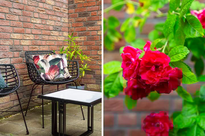 Foto 15 van Witte de Withstraat 30