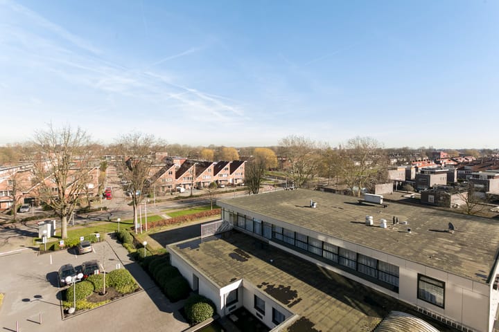 Foto 7 van Thamerhorn 51