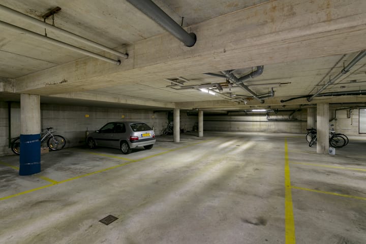 Foto 11 van Thamerhorn 51