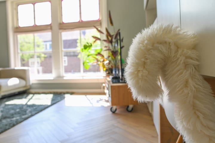 Photo 8 of Pythagorasstraat 105-1