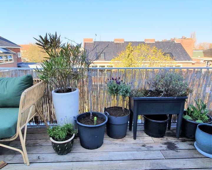 Photo 40 of Pythagorasstraat 105-1