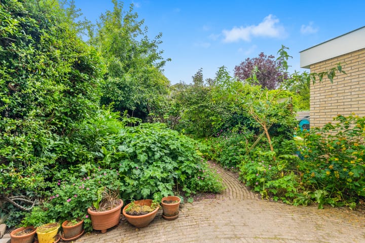 Foto 15 van De Hoop 45