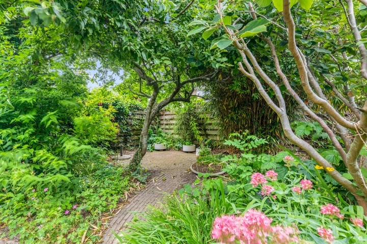 Foto 16 van De Hoop 45