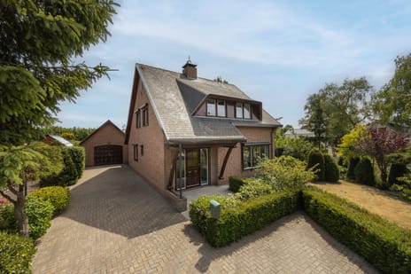 undefined main image