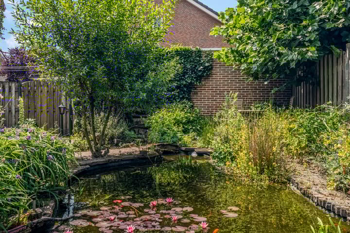 Foto 47 van Paltrokstraat 12