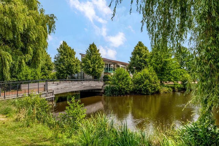 Foto 50 van Paltrokstraat 12