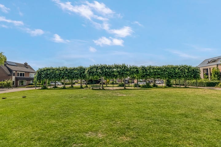 Foto 51 van Paltrokstraat 12