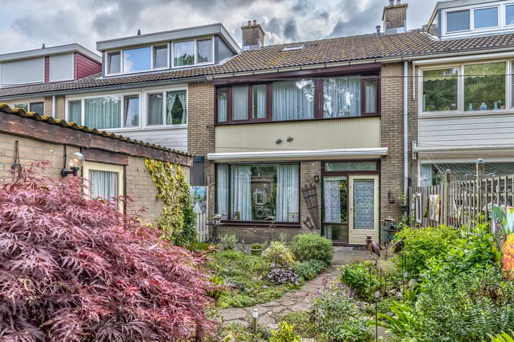 Foto 2 van Lentebloem 6