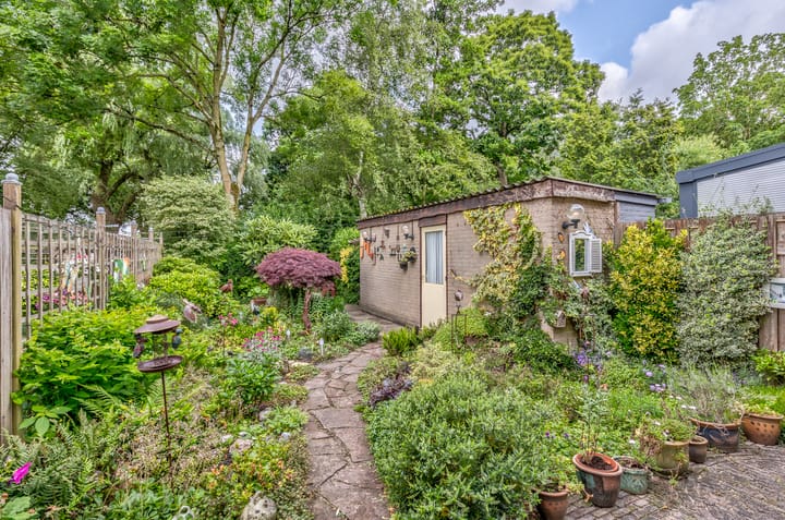 Foto 3 van Lentebloem 6