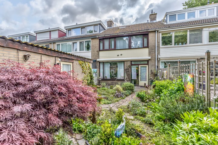 Foto 12 van Lentebloem 6