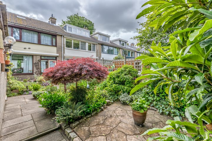 Foto 13 van Lentebloem 6