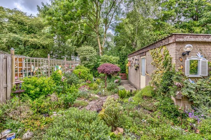 Foto 15 van Lentebloem 6