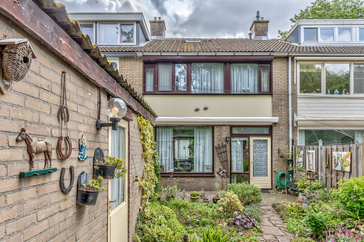 Foto 16 van Lentebloem 6