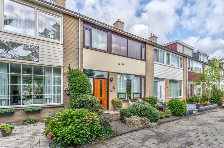 Foto 24 van Lentebloem 6