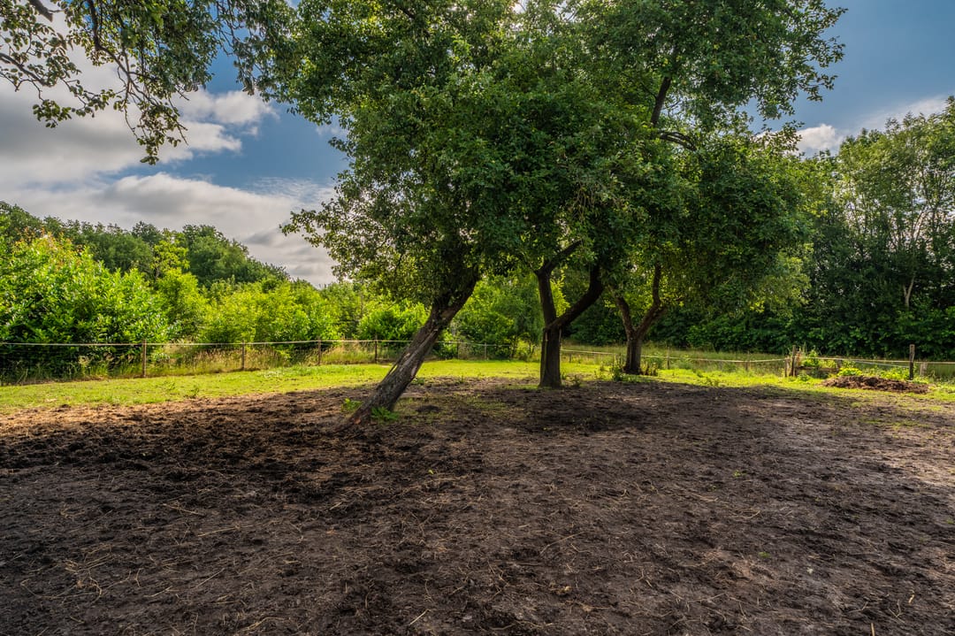 Foto 11 van Holte 50