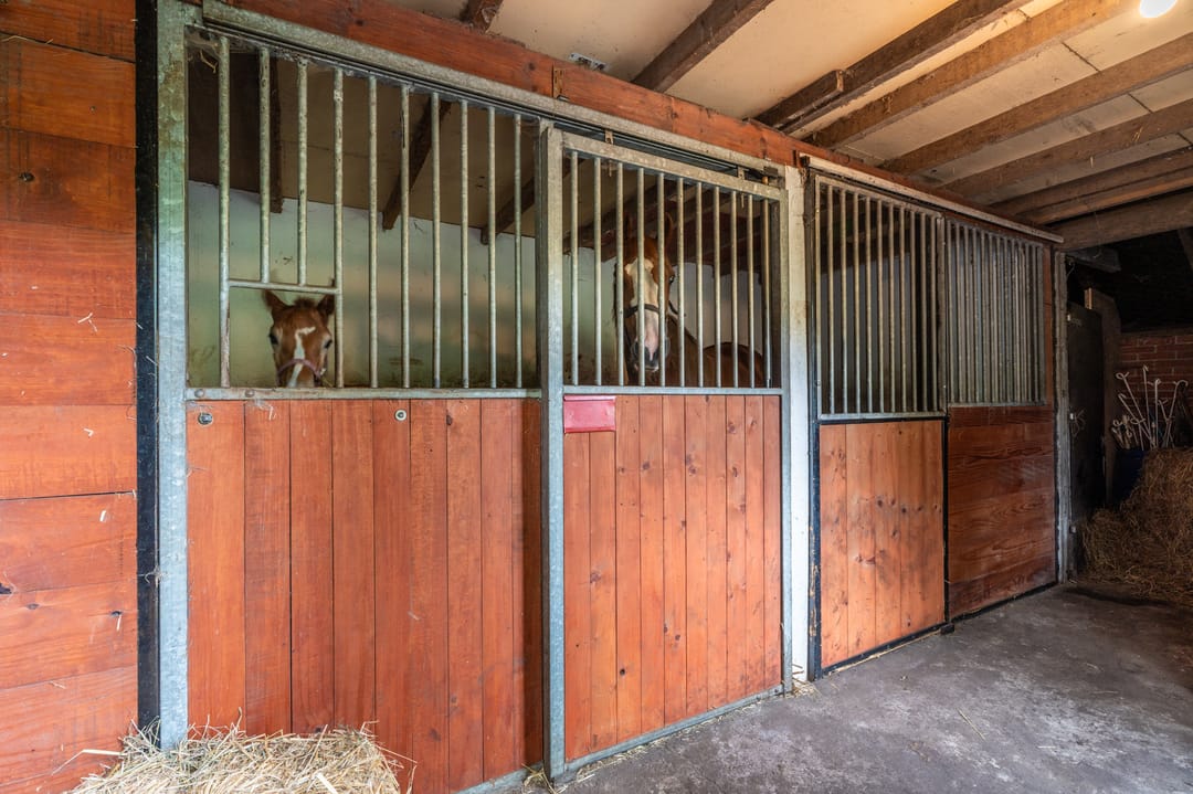 Foto 13 van Holte 50