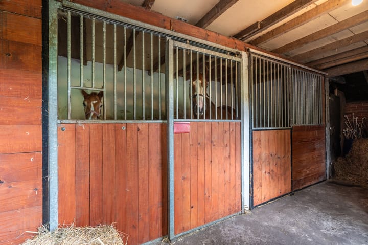 Photo 13 of Holte 50