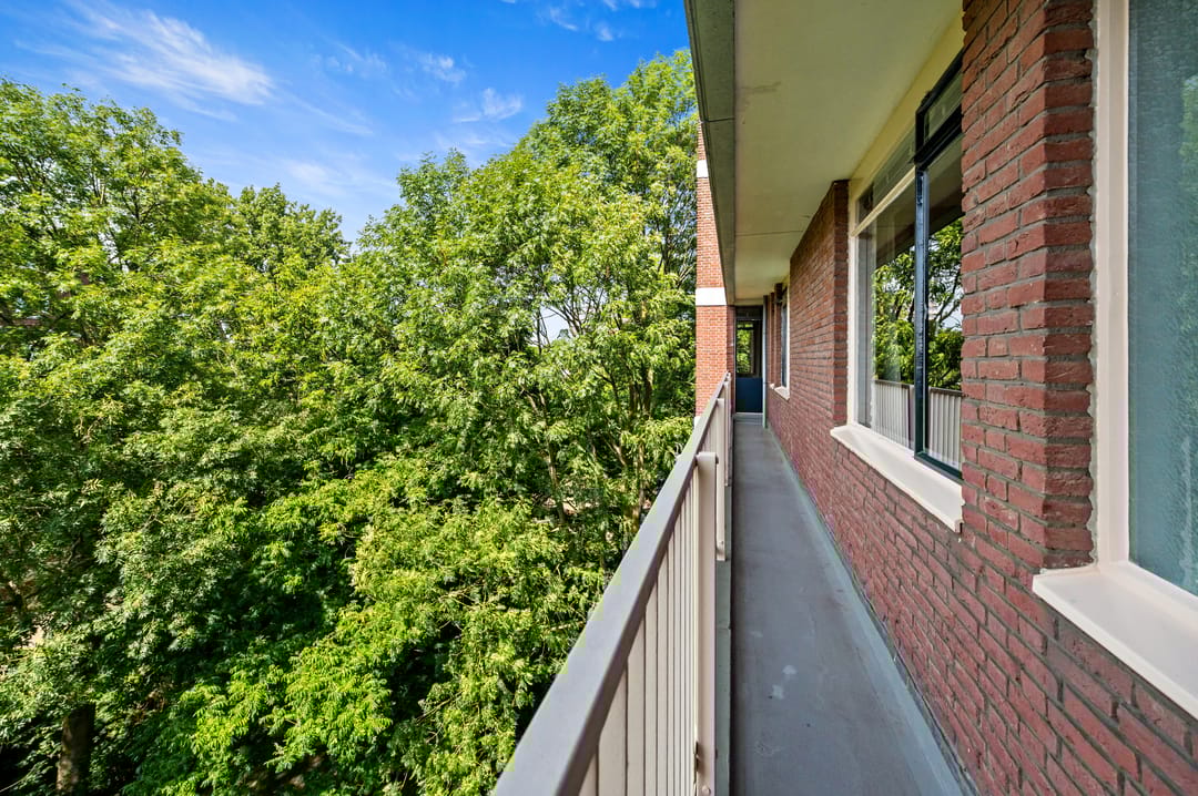 Foto 8 van Kornalijnhorst 346