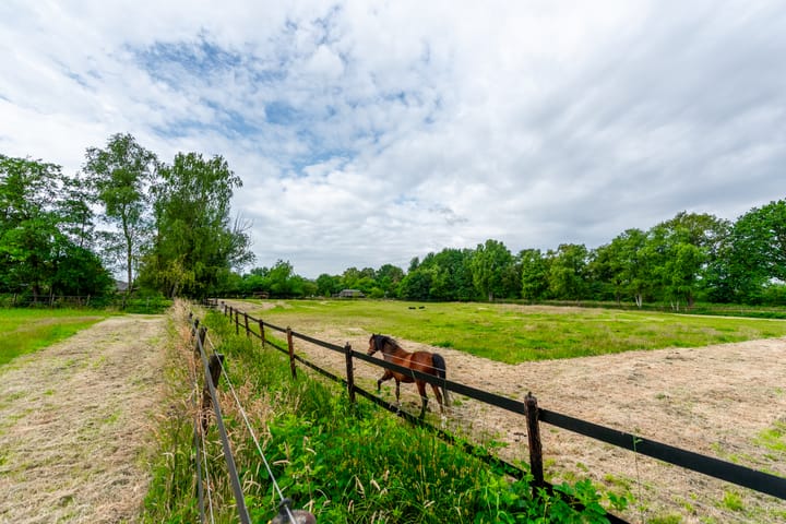 Foto 49 van Esschertsweg 4