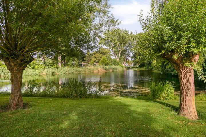 Photo 35 of Houtzagerij 19