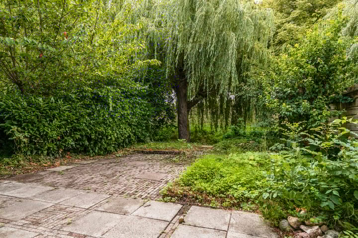 Photo 34 of Houtzagerij 19