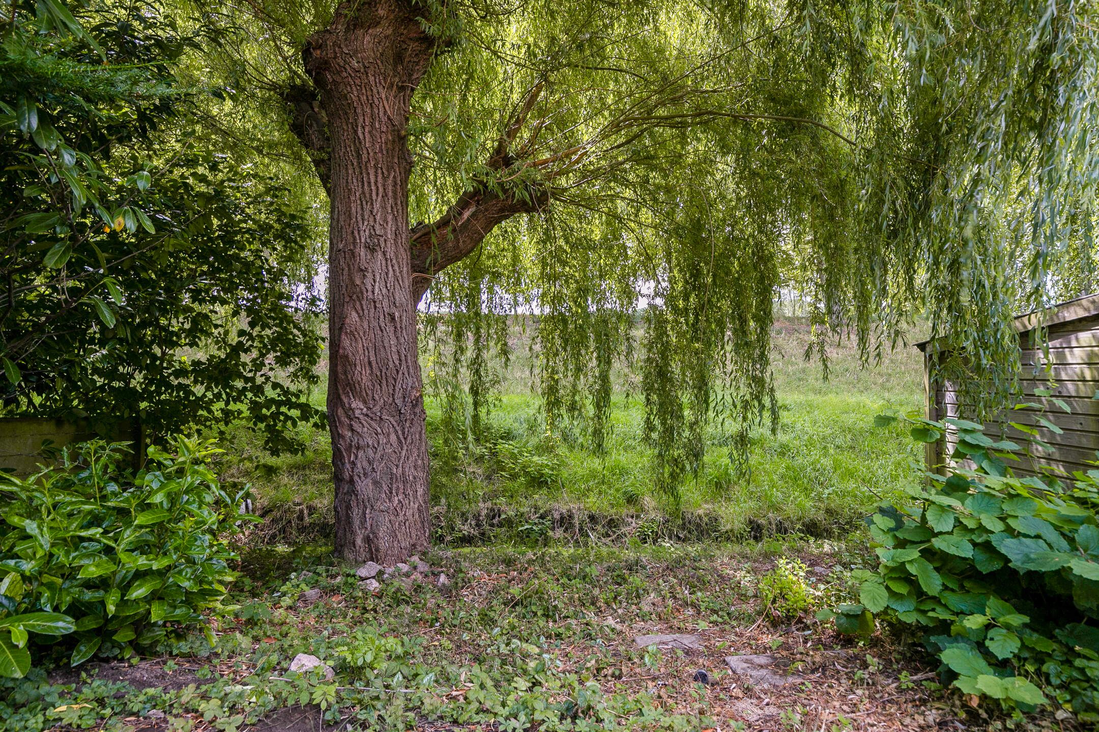 Foto 36 van Houtzagerij 19