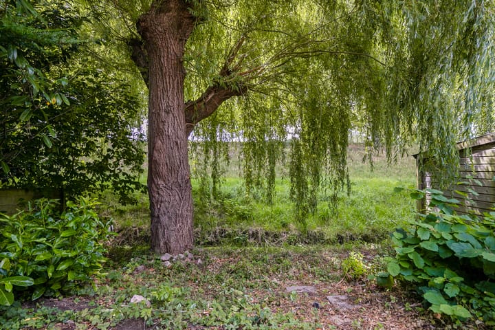 Photo 36 of Houtzagerij 19