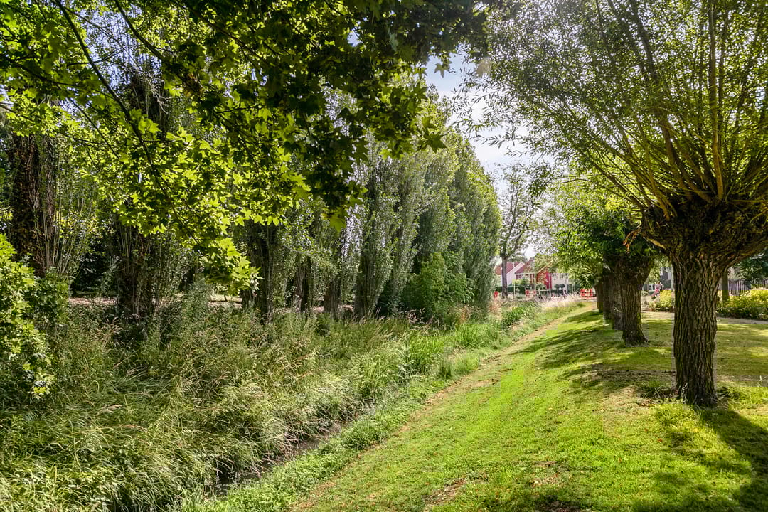 Foto 37 van Houtzagerij 19